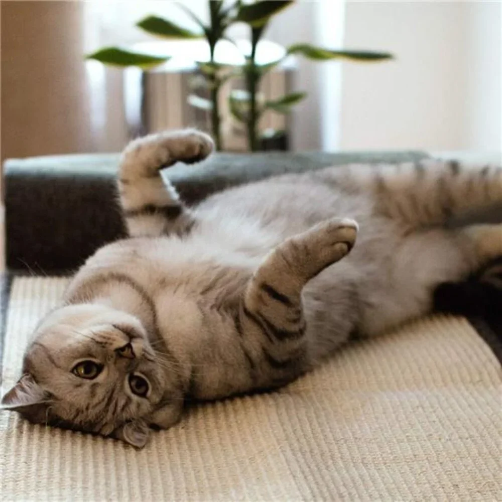 2X Cat Scratch Mats Sofa Protector -Natural Sisal Furniture Protector Scratching